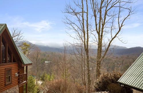 Black Bear Falls Cabin | Cookies Cabin