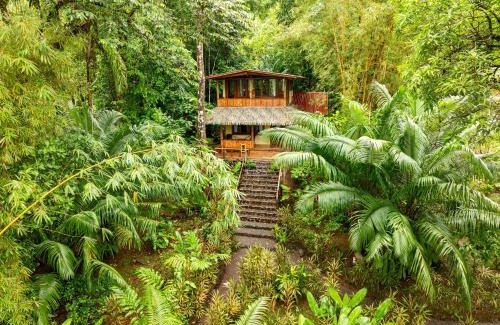 Drake Bay Resort | Copa De Arbol Beach & Rainforest Resort