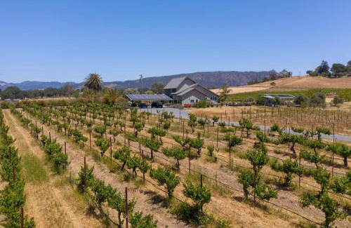 Sonoma House | Coplan Vineyards by AvantStay 10-Acre Estate w Pool Spa Bocce Designer Interiors