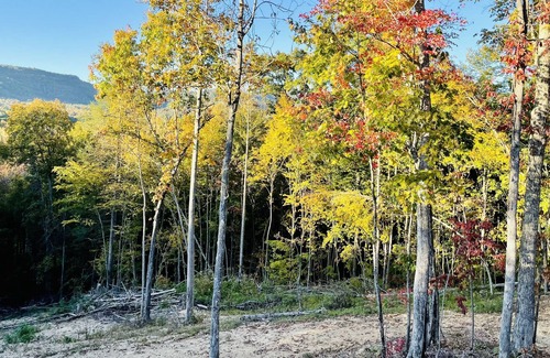 Winona RV Rental | Copperhead Cabin #1 with trail access ! Pet Friendly