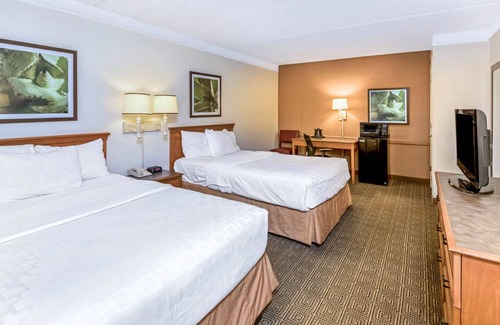 North San Antonio - SAT Hotel | Coratel Inn & Suites by Jasper Wonderland Deluxe 2 Double Bed NS