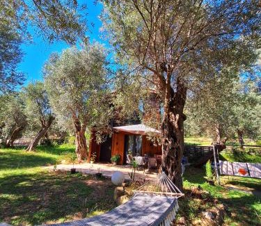 Ulcinj House | Coratina Cottage
