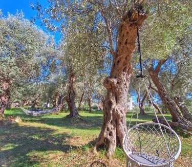 Ulcinj House | Coratina Cottage