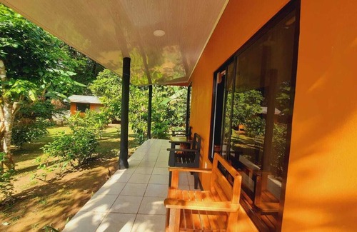 Los Planes Cabin | corcovado green parrot
