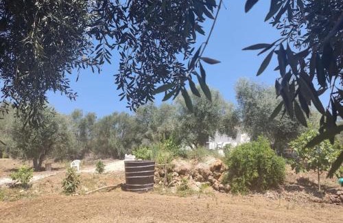 Roumanades House | CORFU OASIS studio