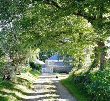 Liskeard House | Cornwall, Looe - Magical Pendriffey