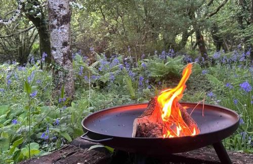 Lanivet Apartment | Cornwall Woodland Shepherd's Hut Deirdres Hut