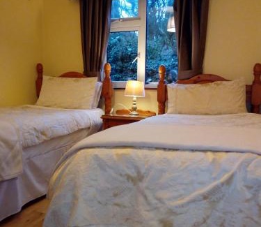 Merlin Park House | Corrib View Guesthouse h91rr72