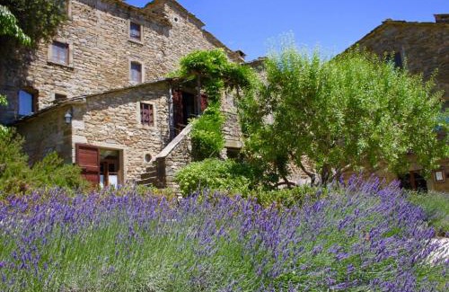 Cortona Apartment | Cortona Village Heights