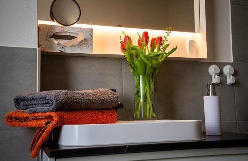Meissen Apartment | Cosel Apartment Altstadt Radfahrer Balkon WLAN
