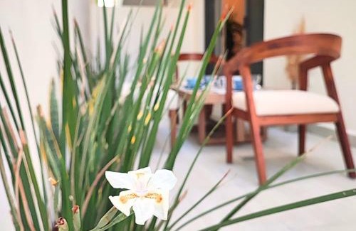 El Manglito Apartment | Costa Azul SunnyAdventureTravel