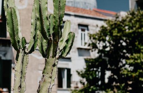 Historical Center Hotel | Costantinopoli 104