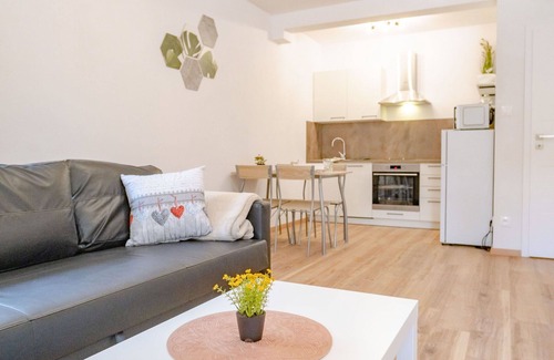 Jachymov Apartment | Cosy apartment for 5 people with WIFI, TV, terrace, pets allowed and parking