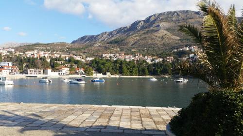 Zupa dubrovacka Apartment | Cosy Apartment Gitta