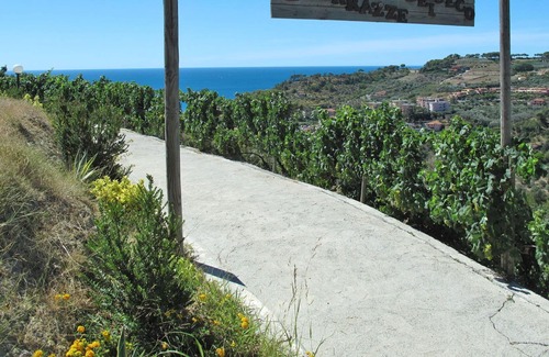 San Lorenzo al Mare House | Cosy apartment in villa with A/C, pool, patio, pets allowed, panoramic view and parking