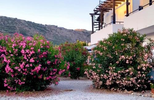 Drapanos Apartment | Cosy APT w/pool and fast Wi-fi