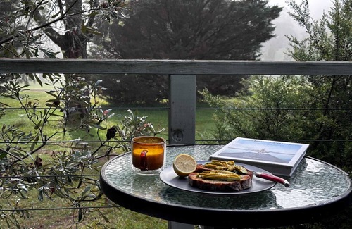 Kangaroo Valley Cabin | Cosy Cabin, Kangaroo Valley Golf Resort- Wildlife