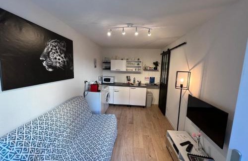 Vallieres Apartment | Cosy F2 , Marx Dormoy A WIFI
