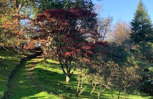 Tikorangi Cottage | Cosy garden cottage in the country and close to town