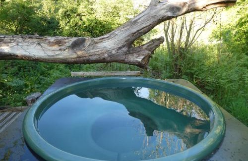 Totnes Other | Cosy-Hilltop-Yurt-StunningViews-Nature-HotTub