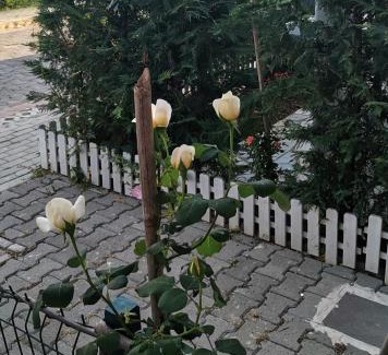Ishem House | Cosy home Lalëz Durrës