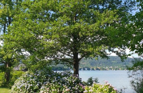 Maria Woerth Villa | Cosy Lake cottage, 300m2 lake area just for you !