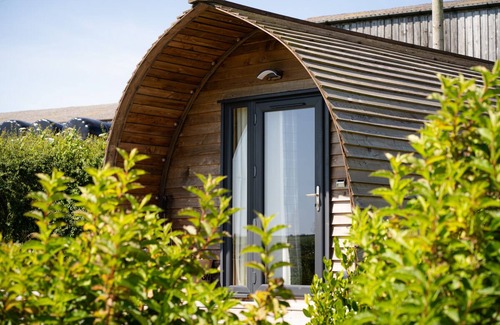 Saint Erth Praze Cabin | Cosy Rural Cabin in the Cornish Countryside