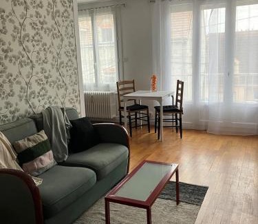 Chalon-sur-Saone Apartment | Cosy T2 centre-ville