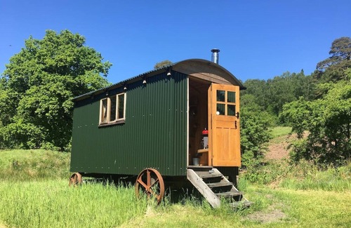 Saint John's Town of Dalry House | Cosy Woodland off Grid Shepherds Hut - Rowan