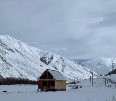 Kazbegi Apartment | Cottage AISI/კოტეჯი აისი