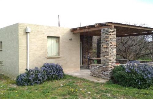 Kea House | Cottage amidst vines and Oak Trees