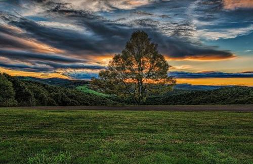 Glenville House | Cottage at Casuarina Lodge - Luxury, Pet Friendly