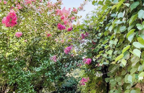 Tourtoirac House | Cottage 'Domaine De Pragelier, La Chapelle' with Shared Pool, Private Terrace and Wi-Fi