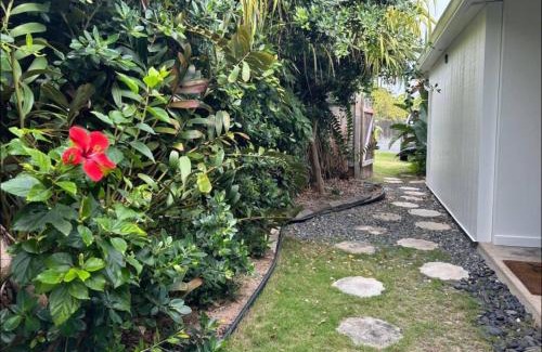Coconut Grove Apartment | Cottage in Kailua Town