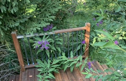 Macedon Cottage | Cottage, large private backyard, 4 cars, sleeps 8