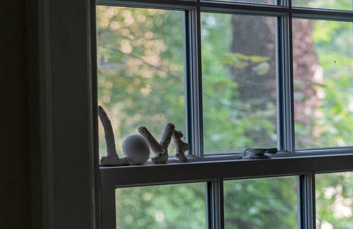 Lewis Mountain House | Cottage living near UVA