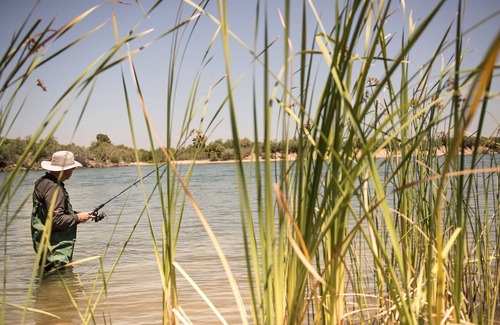 Ehrenberg House | Cottage On Riverfront! At Resort, Sleeps 6