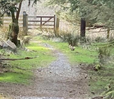 Capel-Curig House | Cottage Retreat Snowdonia