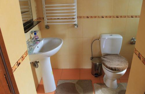 Mykulychyn House | Cottage u Yaremy Mykulychyn