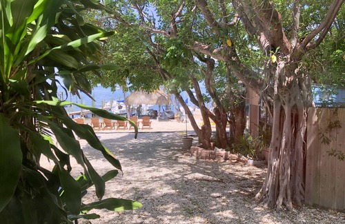 Key Largo Cottage | Cottage w/FREE Sailboat, Kayak, Bikes & More