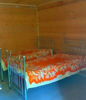 Borjomi House | Cottages Giorgi