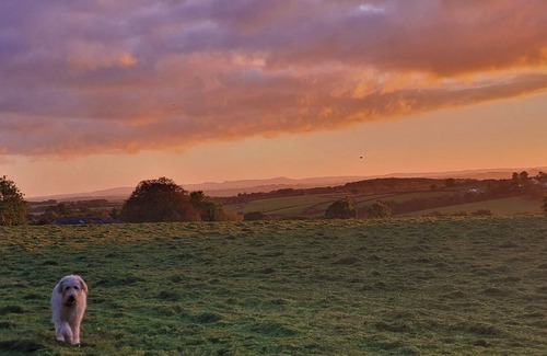 Lifton House | Country Barn With Private Garden & Games Room! Fantastic for Families or Groups