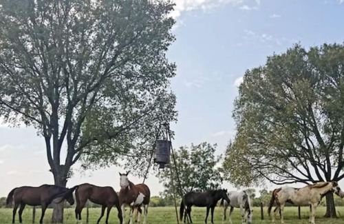 Lee County House | Country Cabin on a Farm