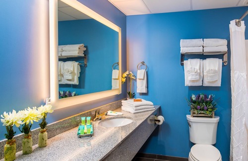 Pigeon Forge Hotel | Country Cascades Waterpark Resort