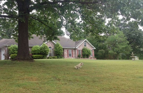 Fayetteville House | Country Estate with Natures' Wonders; EV Charging On Property and Pet-Friendly!