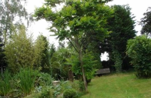 Languidic Cottage | Country holiday home - Languidic