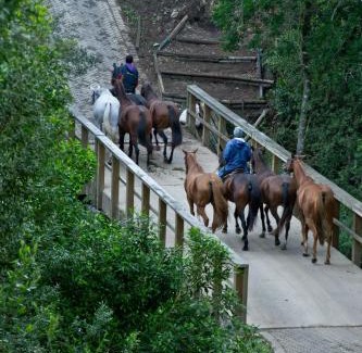 Bitou Villa | Country House at Kay & Monty