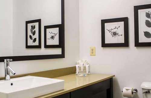 Sterling Hotel | Country Inn & Suites by Radisson, Washington Dulles International Airport, VA