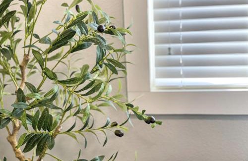 Visalia House | Country Livingharrison Ranch 3