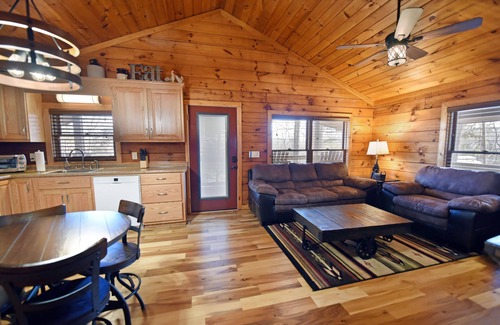 Blairsville Cabin | Country Mountain Cabin 2 King Suite Hot Tub